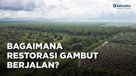 Catatan Restorasi Lahan Basah Di Indonesia YouTube