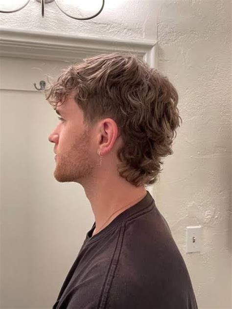 The Best Modern Mullet Haircuts For Men Detailed Gallery In