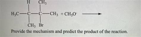 Solved 2 Bromo 23 Dimethylbutane Undergoes E2 Reaction In