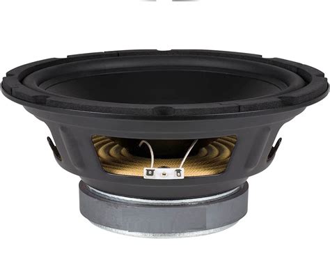 Woofer Altoparlante Cono Cm Mm Ohm Professionale