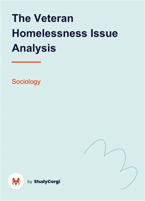 The Veteran Homelessness Issue Analysis Free Essay Example