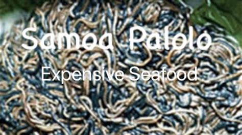 Palolo Selling In Samoa Market Expensive Seafood 2018 Youtube