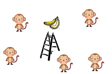 5 Monkeys Experiment and Applications to Our Work Life | Balanced Work Life