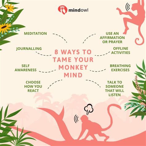 How To Train Your Monkey Mind Mindowl