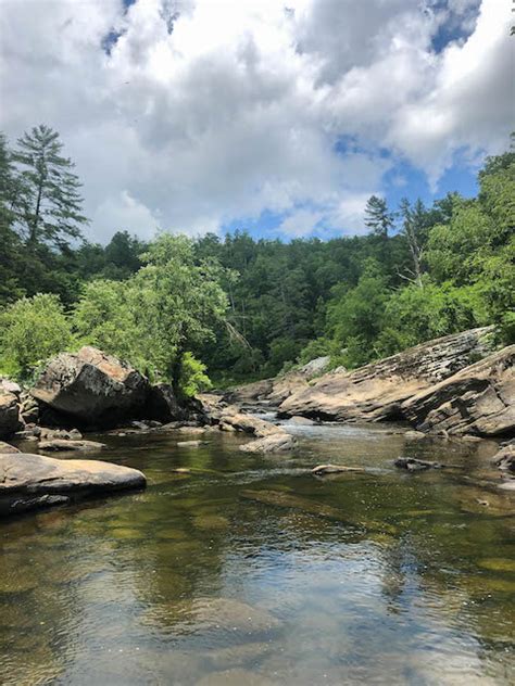 The Trout Zone