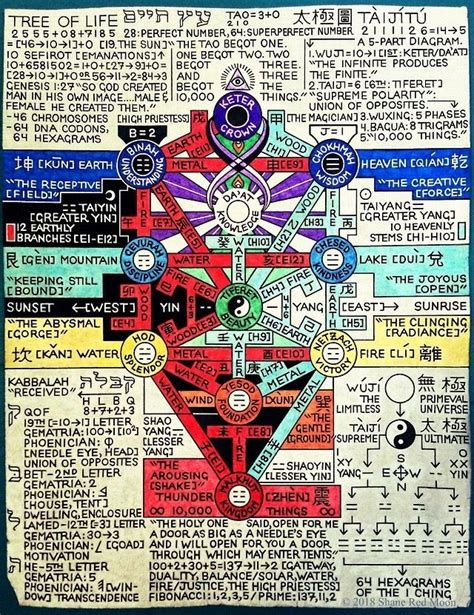 The Tree Of Life Diagram Tree Of Life Sacred Science Sacred