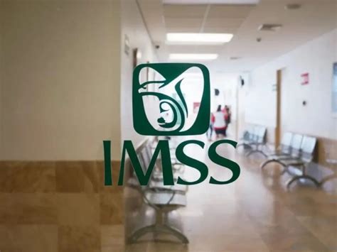 El Imss C Mo Funciona Gobmx Org