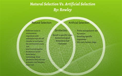 Artificial Traits Vs. Natural Selection Rowley Period 5 10/28 by L ...