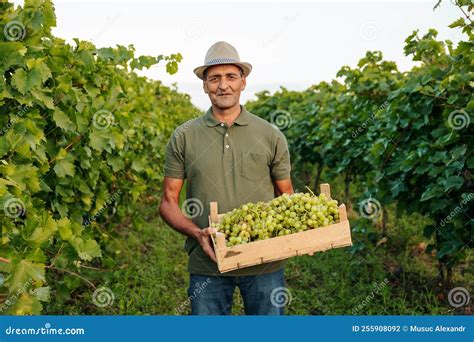 Vista Frontal Anciano Agricultor Viticultor Trabajador Hombre En El