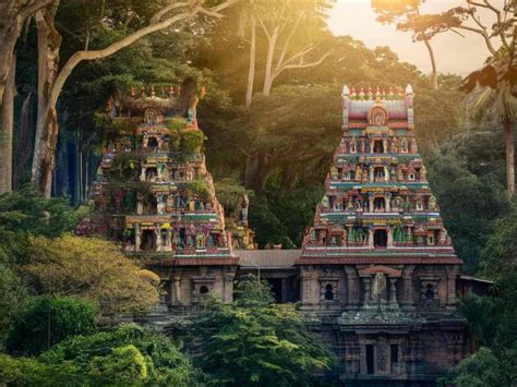 Discover Top 5 Hidden Gems To Be Explored While Visiting Thekkady