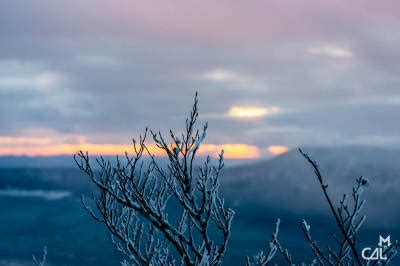 Belvédère du Revard branches neigeuses au crépuscule Mon chat aime