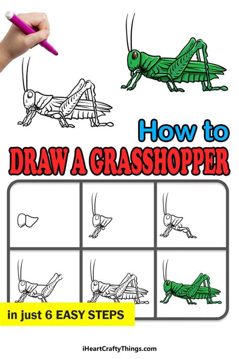 Grasshopper Drawing - How To Draw A Grasshopper Step By Step