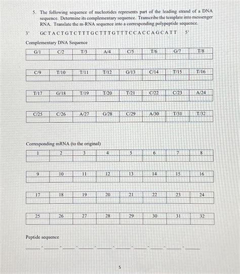 Solved 5. The following sequence of nucleotides represents | Chegg.com 
