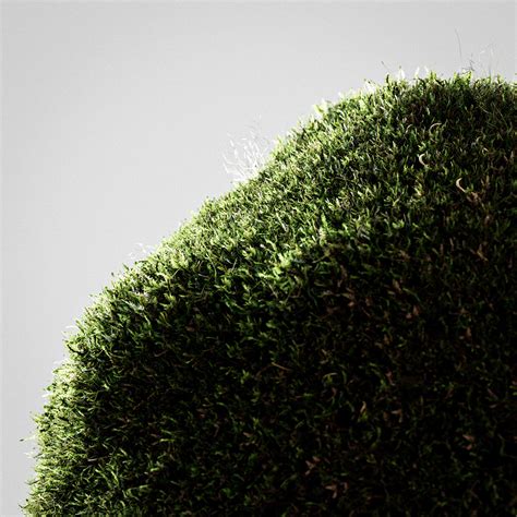 Bionera Moss Elixir Behance