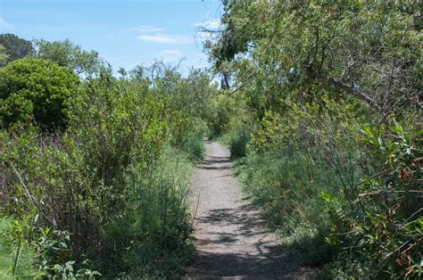 Hiking Guajome County Park in Oceanside - Hiking San Diego County