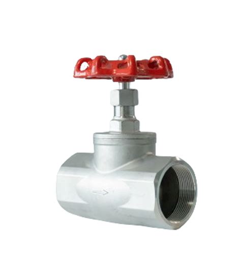 Stainless Steel Globe Valve Waterworks