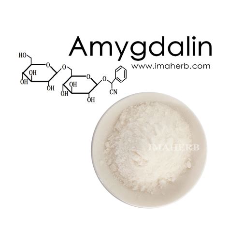 Amygdalin Vitamin B17 Apricot Seed Extract Bitter Almond Extract