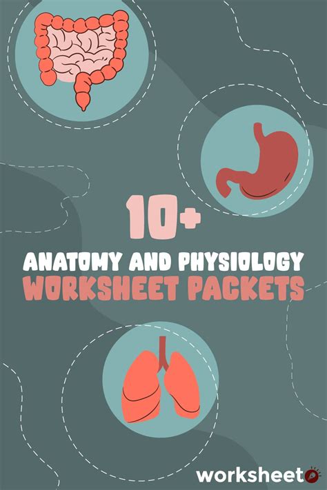 Other Worksheet Category Page Worksheeto