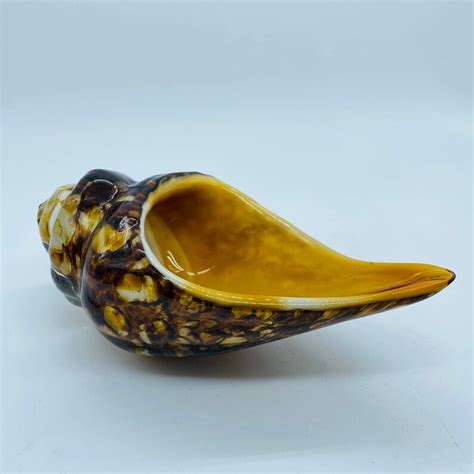 Art Glass Sea Shell Conch Dish Paperweight Decor Murano Style Etsy Canada