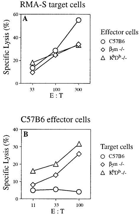 K B D B Mice As Donors Of Effector Or Target Cells In NK Mediated