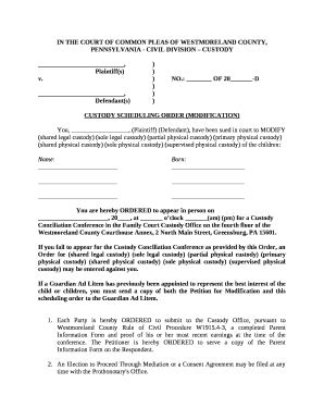 Custody Scheduling Order Modification Doc Template Pdffiller