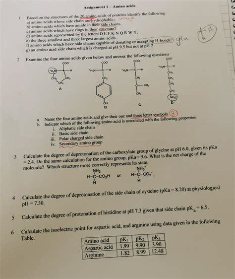 Solved Assignment 1 Amino acids 1 Based on the structures of | Chegg.com 
