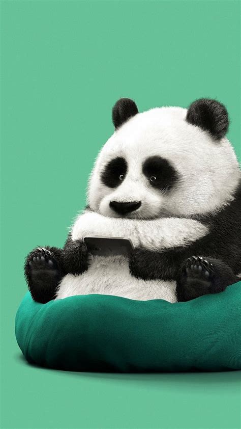 Cartoon animals hd wallpapers | Panda bears wallpaper, Cute panda ...