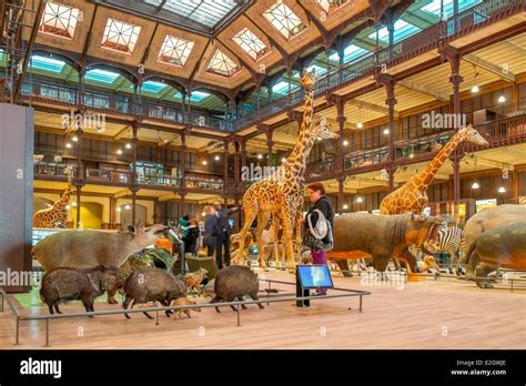 France Paris Museum National D Histoire Naturelle Mus E National D