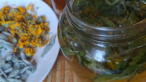 ШАЛФЕЙ ЛЕКАРСТВЕННЫЙ. Настойка шалфея и календулы лечит ЗУБНУЮ БОЛЬ ...