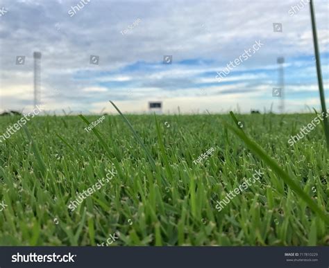 18 913 Stadium Grass Close Images, Stock Photos & Vectors | Shutterstock