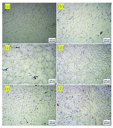 Optical microstructure: (a) As-cast 7055-0 wt.%Er; (b) As-cast... | Download Scientific Diagram