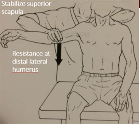 Mmt Palpation Skills Check Flashcards Quizlet