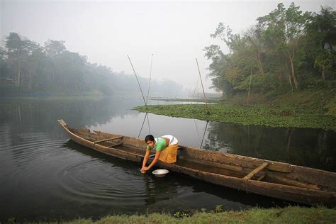 Majuli Island | Island, Wonderful picture, Photo