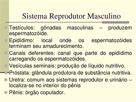 Ppt Sistema Reprodutor Humano Masculino E Feminino 8º Ano A E B