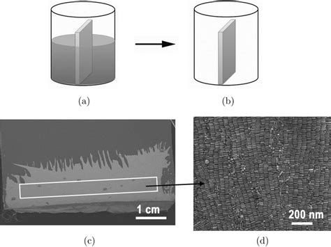 Schematic Illustration Of The Vertical Self Assembly Method A The Download Scientific