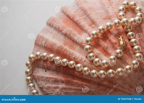 Pearl Shells And Beads Stock Photo Image Of Healthcare 70367538