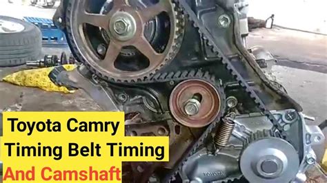 A Clear Illustration Of Toyota Camry Timing Belt Structure