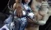 Qin Shi Mingyue Shao Si Ming Goddess Intense Sex Asian Porn Feat Skauny XHamster