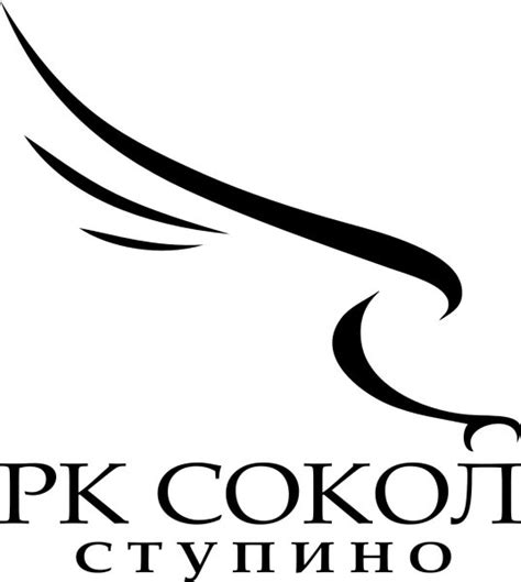 Соколов логотип (46 фото)
