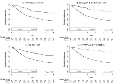 PDF Double Positivity For HPV DNA P16ink4a Is The Biomarker With