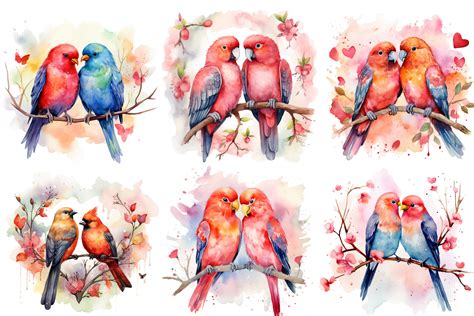 Love Birds Valentines Day Watercolor Art Graphic By Nayem Khan