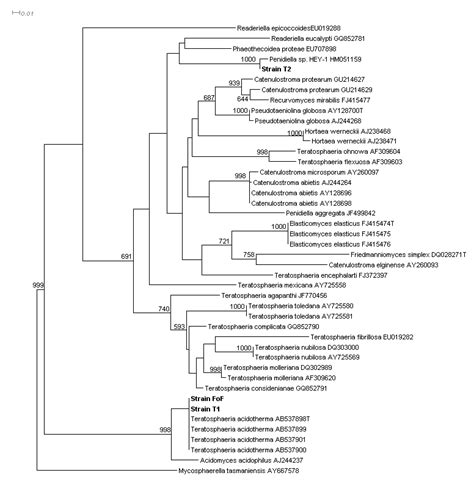 Bootstrap Consensus Tree 1000 Replicates Of Capnodiales Selected