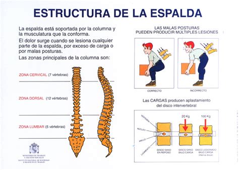 Clínica Arthros Vigo Consejos Sobre Higiene Postural