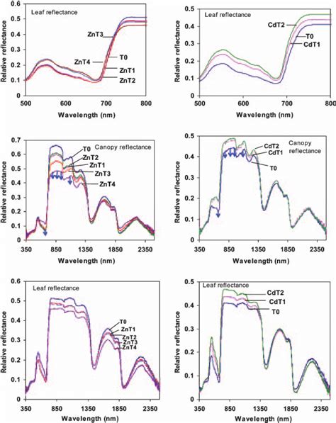 Leaf Reflectance Spectra Showing The Red Edge Shift Of Zn Treated A