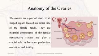 anatomy of general gynecology.pptx