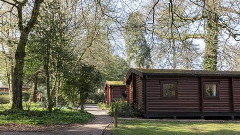 Log Cabin With Hot Tub Whitemead Forest Park