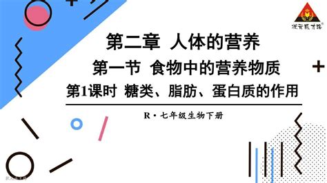 人教版七年级生物下册第1课时 糖类、脂肪、蛋白质的作用word文档免费下载亿佰文档网