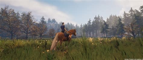 Download - Horse Project Game