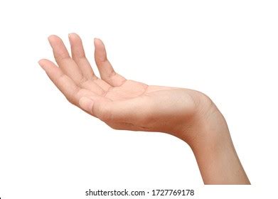 Hold Gestures Gesture Open Hands Hand Png PNGWing