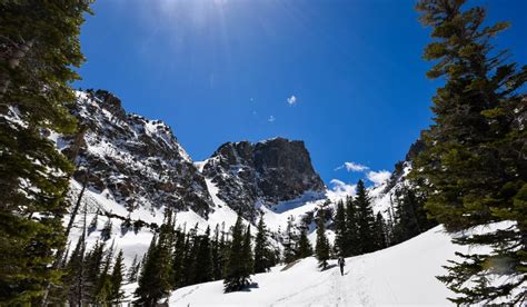 Banco De Imagens Panorama árvore Natureza Região Selvagem Neve